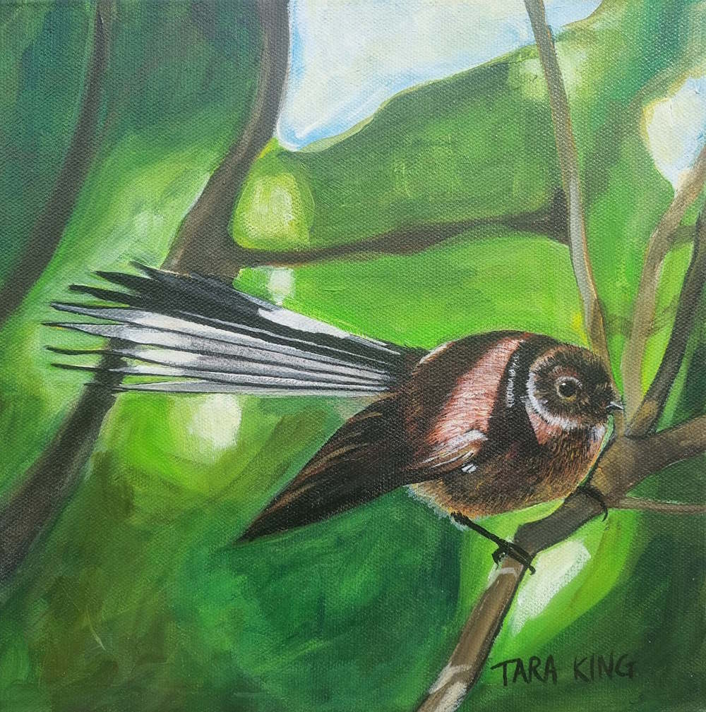 Fantail