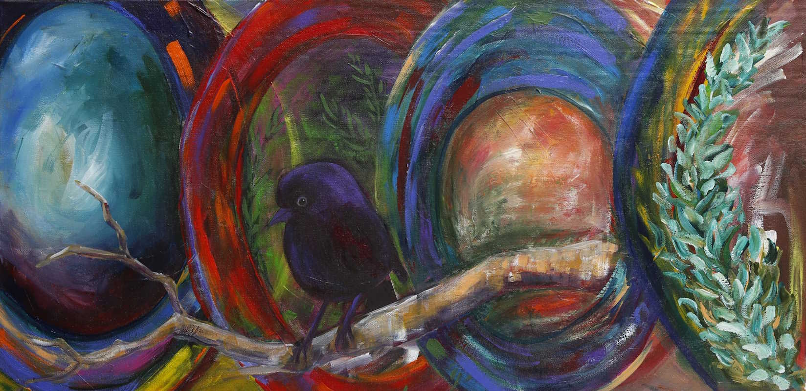 Black Robin