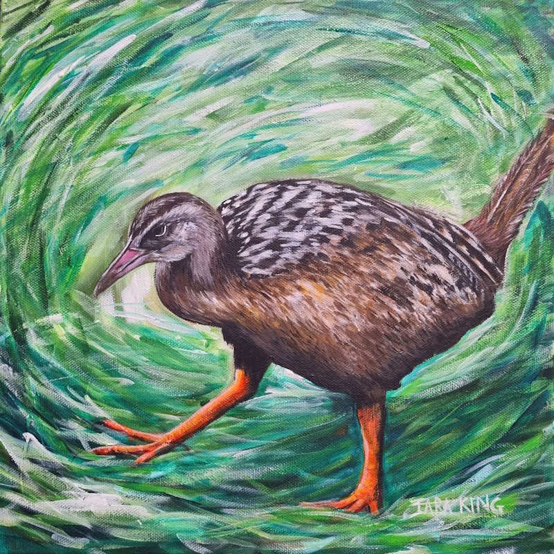 Cheeky weka- Fine Art Print