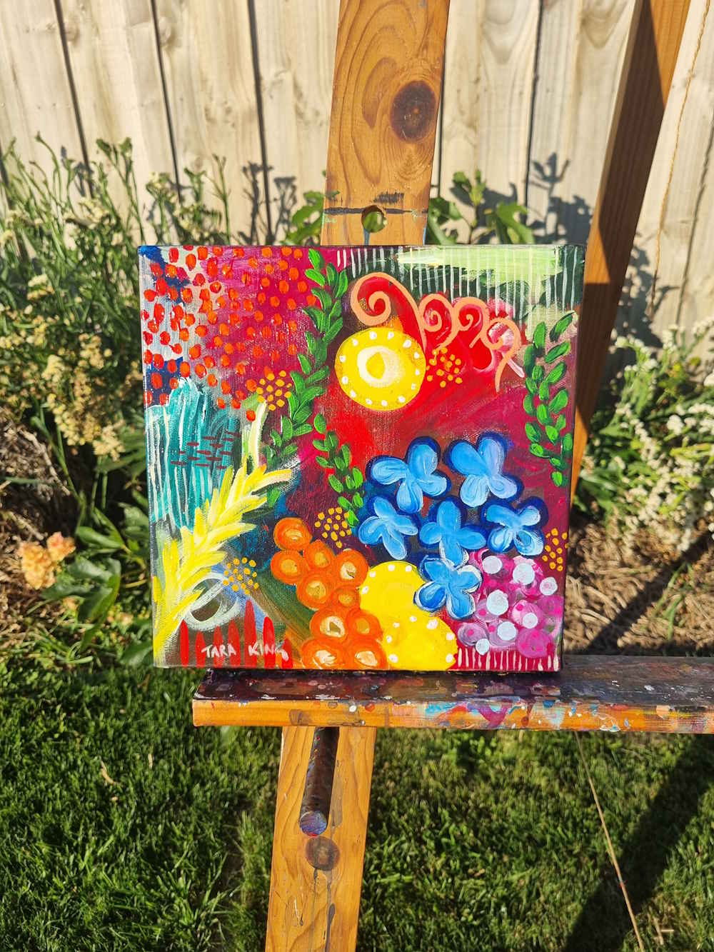 Colourful Nature 1