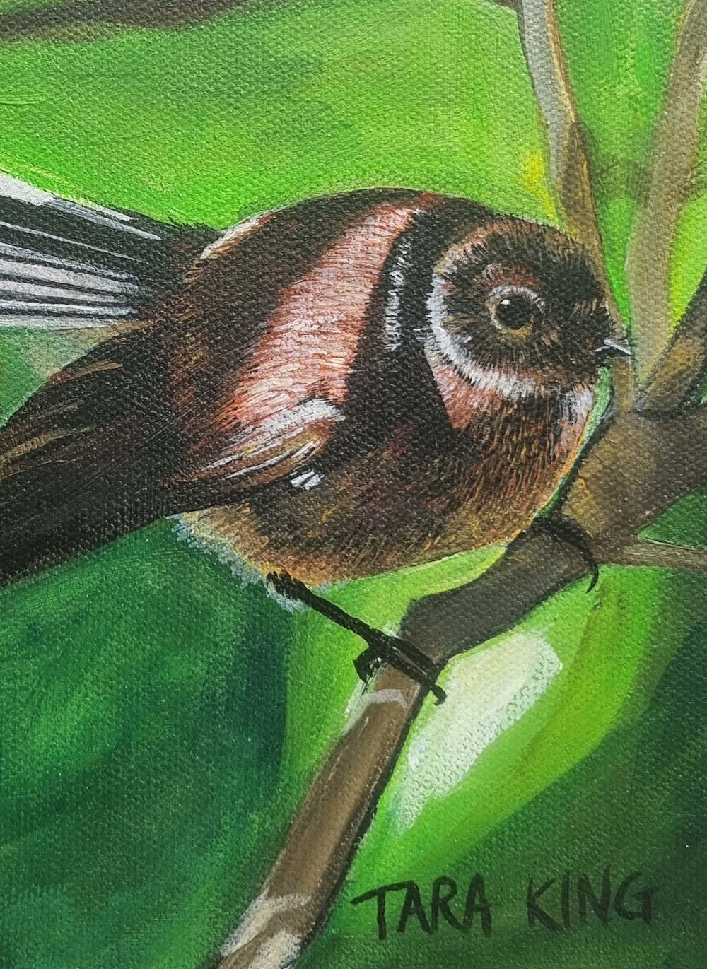Fantail