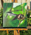 Fantail