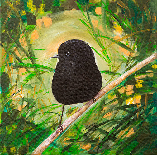 Little Black Robin - Fine Art Print