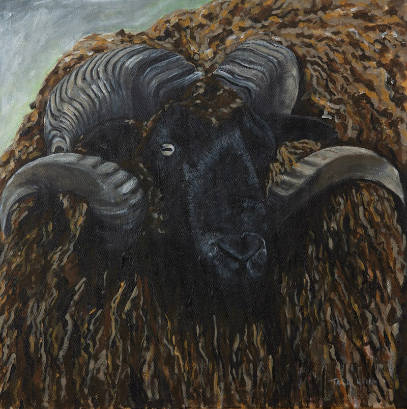 Ram Pride - Fine Art Print