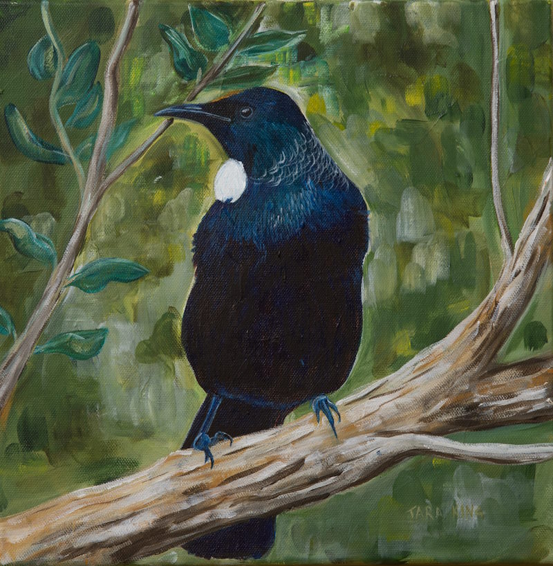 Tui - Fine Art Print